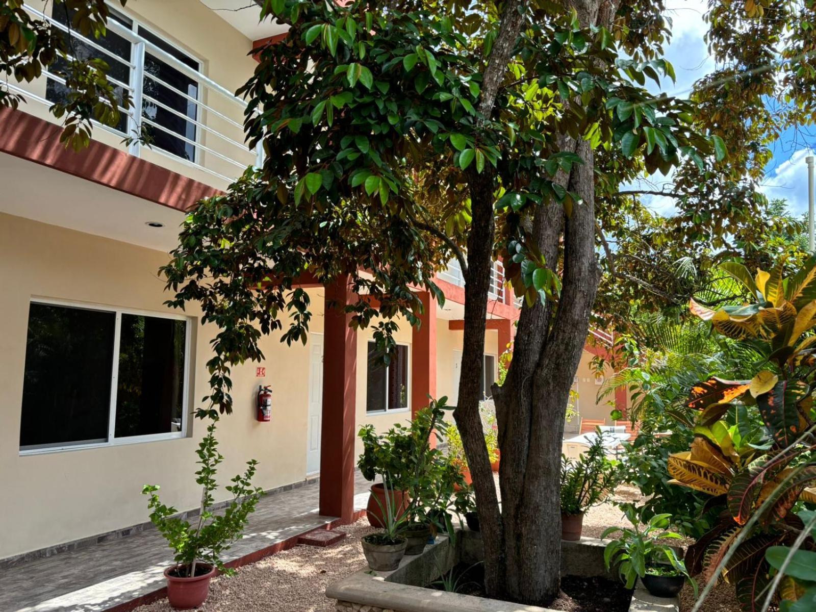 Casa Del Cenote Ξενοδοχείο Βαγιαδολίδ Εξωτερικό φωτογραφία
